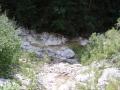 components/com_mambospgm/spgm/gal/Laufe 2006/1. cattle creek run/_thb_P1010009.JPG